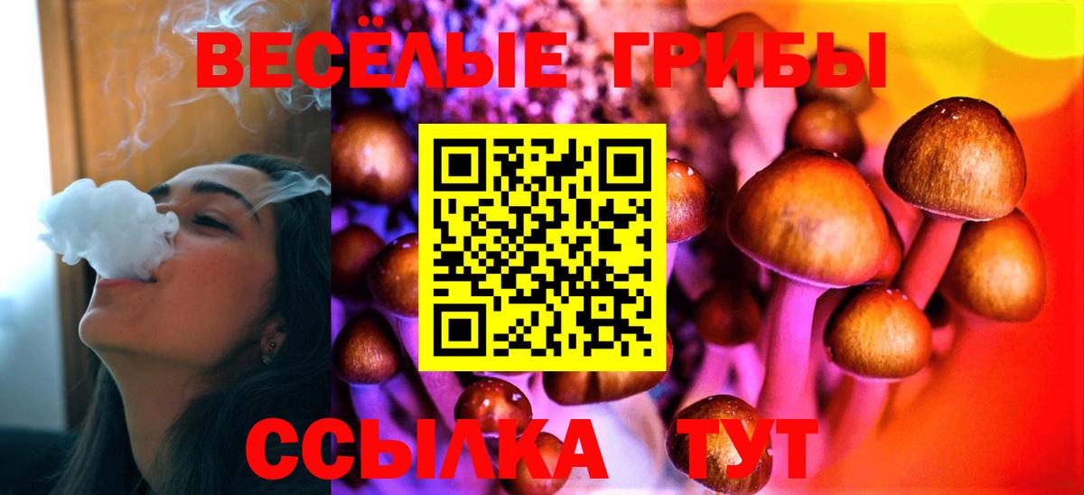 Галлюциногенные грибы Psilocybine cubensis Мурино