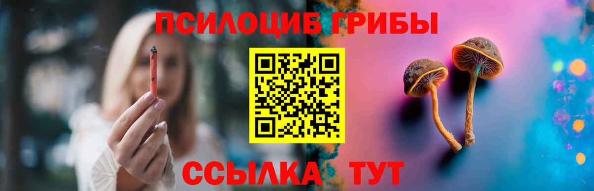 Мурино  Псилоцибиновые грибы Cubensis  Вход с VPN 