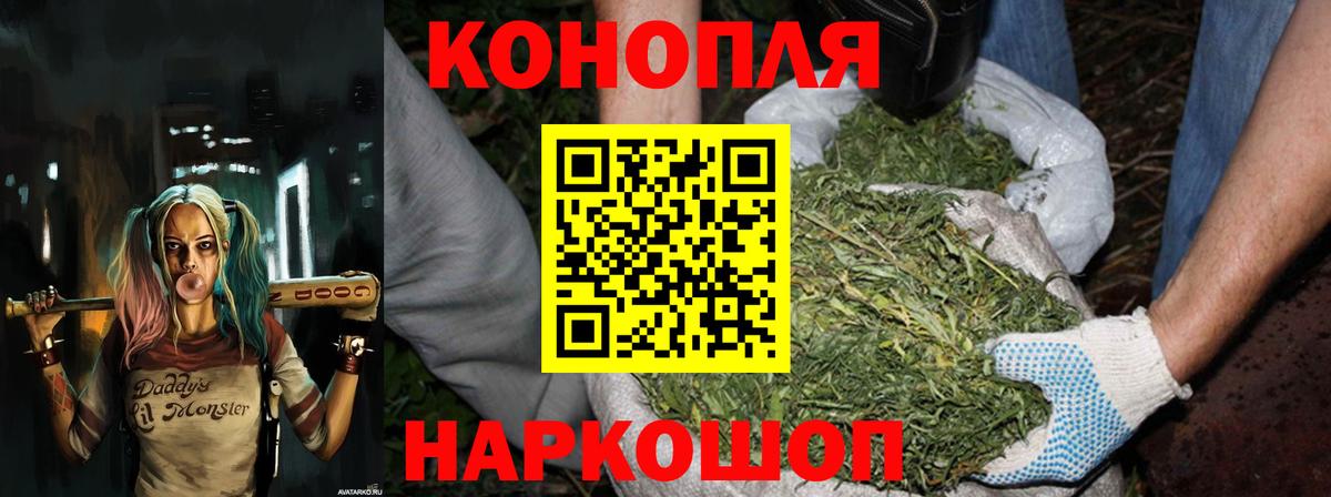 Мурино  Шишки марихуана тримм  Канабис OG Kush  МАРИХУАНА гибрид  Вход с VPN  Бошки Шишки индика 